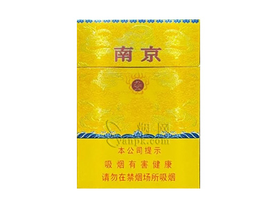 南京(九五双中支)