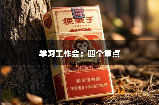 学习工作会：四个重点