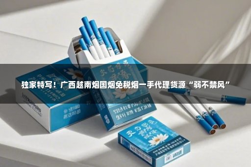 独家特写！广西越南烟国烟免税烟一手代理货源“弱不禁风”