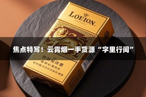 焦点特写！云霄烟一手货源“字里行间”
