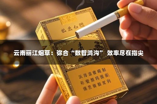 云南丽江烟草：弥合“数智鸿沟” 效率尽在指尖