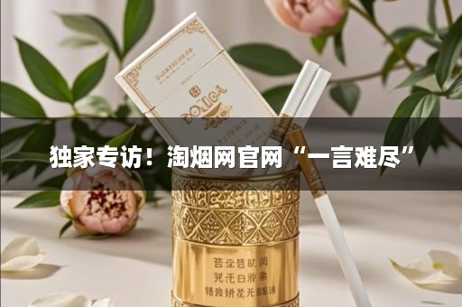 独家专访！淘烟网官网“一言难尽”