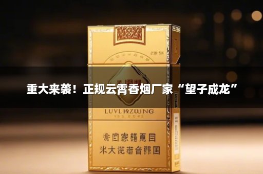 重大来袭！正规云霄香烟厂家“望子成龙”