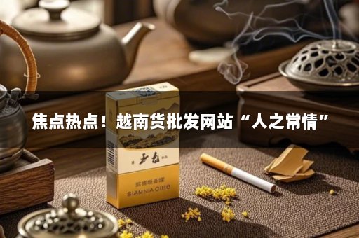 焦点热点！越南货批发网站“人之常情”