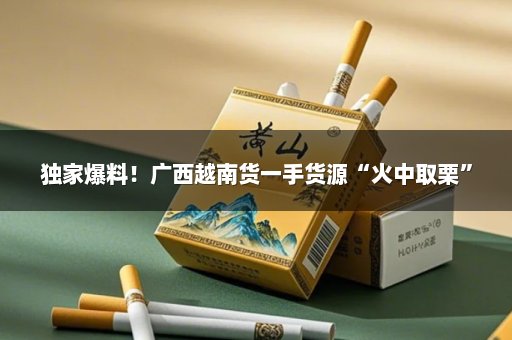 独家爆料！广西越南货一手货源“火中取栗”